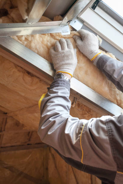 Insulation Contractors for Homes in Sycamore, GA