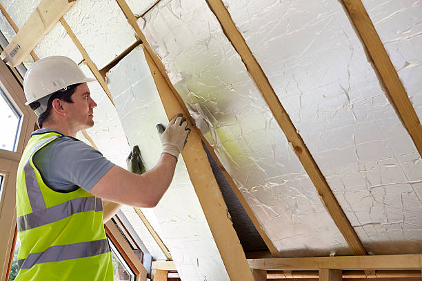 Best Wall Insulation Contractor  in Sycamore, GA